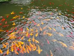 -西安华清御汤酒店