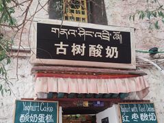 -古树酸奶(八廓南街店)