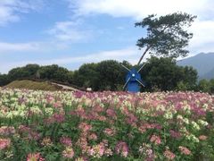 -广州市流溪河国家森林公园