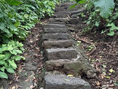-海口火山口国家地质公园