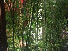 良子健身(中关村店)-汤泉良子.足疗按摩.SPA(中关村店)