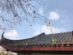 -堤角公园