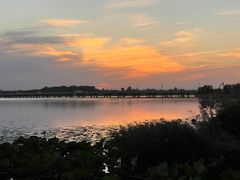 -丁香湖公园