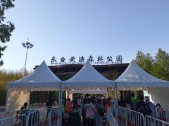 -黄海国家森林公园