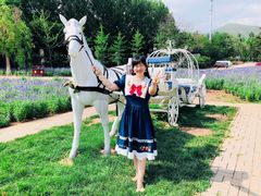 -静之湖湖畔餐厅