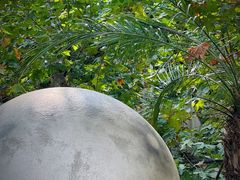 -弦月窗LUNETTE BY AMANDA(复兴路店)