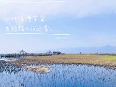 -哈素海