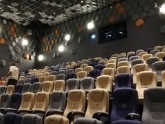 -星河寰宇IMAX影城(星河WORLD·COCO Park店)