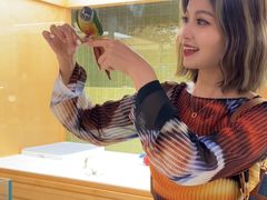 -帕帕拉兹宠物(亚洲旗舰店)