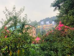 -南山植物园