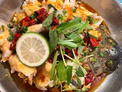 -菌自由丨野生菌火锅特色庭院餐厅(丽江古城店)