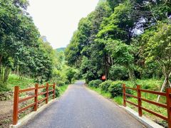 -龙坞茶村