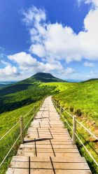 -茶发Salon·烫发染发理发