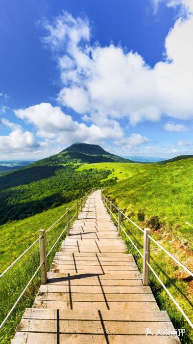 茶发Salon·烫发染发理发(宝龙广场店)图片