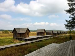 -塞罕坝国家级自然保护区