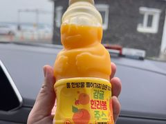 -涉地可支