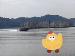 -东湖落雁景区