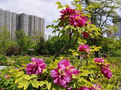 -迎泽公园