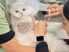 -达爱动物医院·犬猫分区·CT·复杂眼科(远洋山水分院)