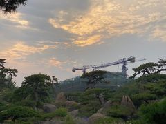 -罗红摄影艺术馆