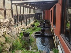 -Local泰莲庭(虹鳟鱼店)