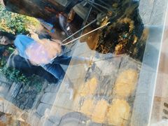 -萝卜丝饼