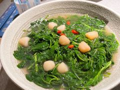 瑶柱上汤枸杞叶-晓粤·惹味粤菜(万菱汇店)