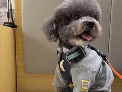-美联众合动物医院·24h转诊中心