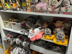 -谢列梅捷沃国际机场