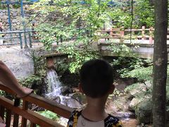 -藏龙百瀑风景区