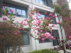 -上海市黄浦区教育学院附属中山学校