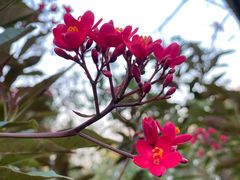 -瑰丽酒店·海吧·天际下午茶·现场DJ·天台酒吧