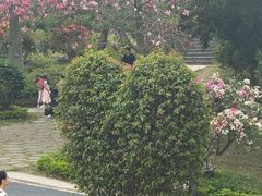 -东莞植物园