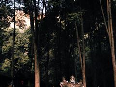 -青城山