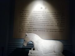 -宁夏博物馆