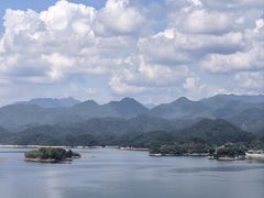 -浔味·山屿湖·正宗淳牌全鱼宴老字号
