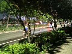 -金星公园