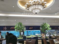 -锦粤宫·精致粤菜(深圳北站店)