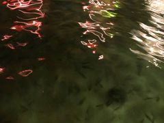 -崇阳三特浪口温泉