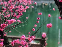 -望江楼公园