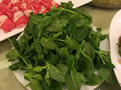 -东颖龙肥牛王(绵阳店)