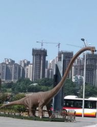 -恐龙探索乐园(磁器口店)