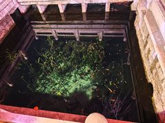 -教师之家赵家羊汤馆(东青龙街店)