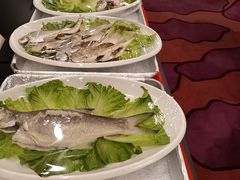 -潮江春(阳光店)