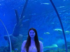 -多彩贵州城极地海洋世界