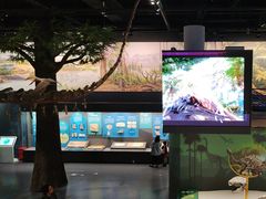 -国家自然博物馆