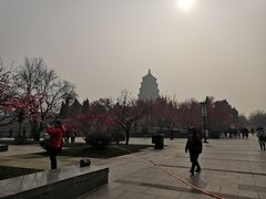 -大雁塔北广场音乐喷泉