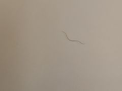 -宁波阳光豪生大酒店·豪生咖啡厅