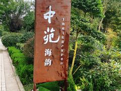 -中苑海韵