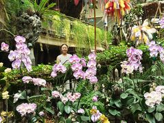 -正佳雨林生态植物园